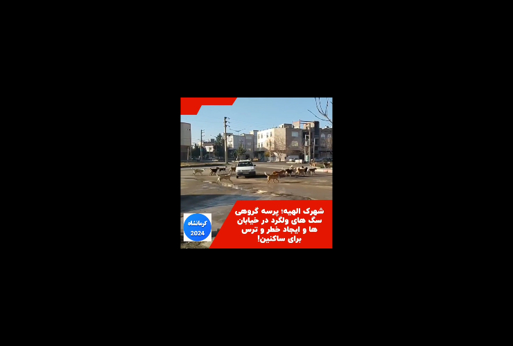 news-15d14feb25.jpg